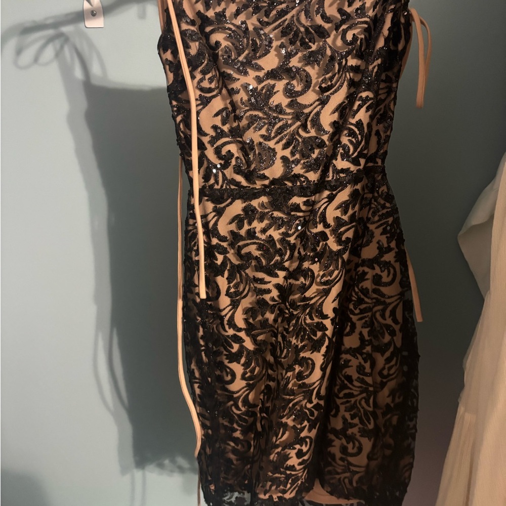 Lucy in the Sky Black Lace Mini Dress